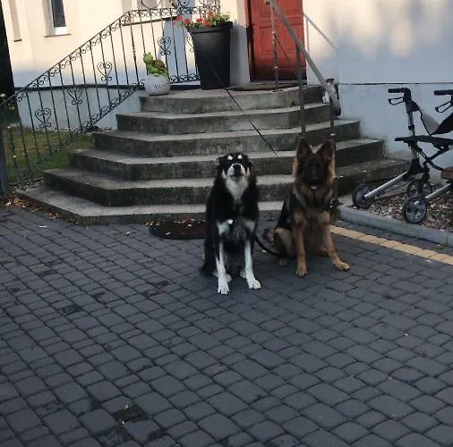 Agnieszkas Хафельберг